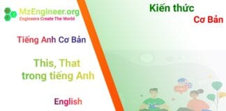 This, That trong tiếng Anh là gì