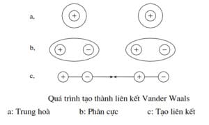 Quá trình tạo thành liên kết Vander Waals